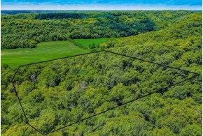 11.05 ACRES Williams Rd