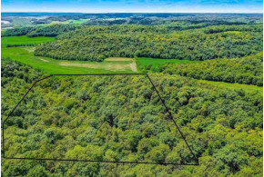 11.05 ACRES Williams Rd