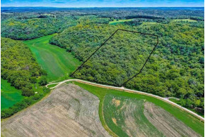 11.05 ACRES Williams Rd