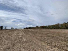 17.79 ACRES Otsego Rd