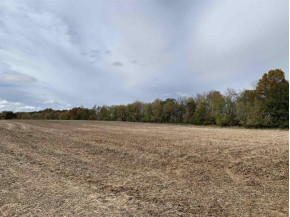 17.79 ACRES Otsego Rd