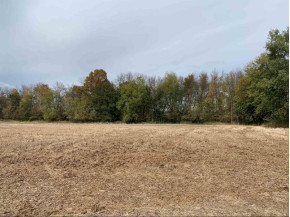 17.79 ACRES Otsego Rd