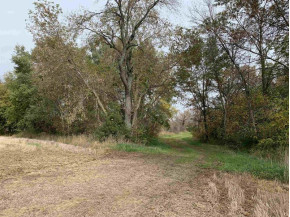 17.79 ACRES Otsego Rd