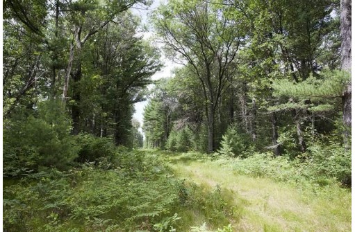LOT 14 19th Pass, Arkdale, WI 54613