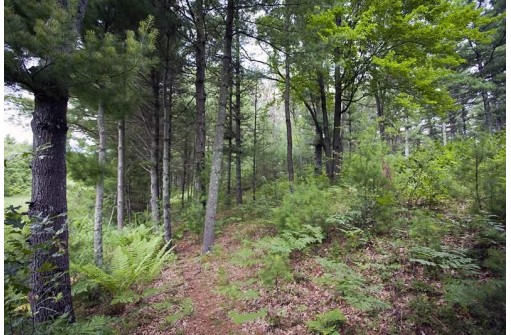 LOT 14 19th Pass, Arkdale, WI 54613