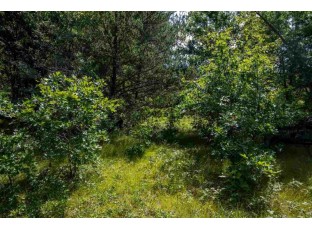 57 ACRES 12th Ave Necedah, WI 54646