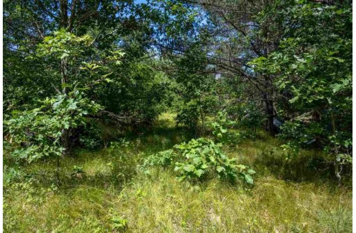57 ACRES 12th Ave, Necedah, WI 54646