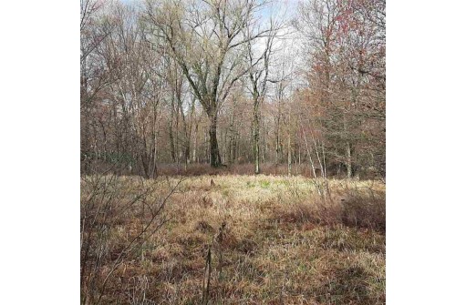 80 ACRES County Road G, Mauston, WI 53948