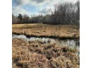 80 ACRES County Road G, Mauston, WI 53948