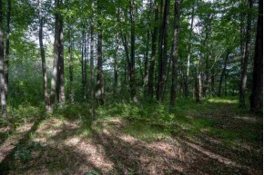 45.2 AC County Road B