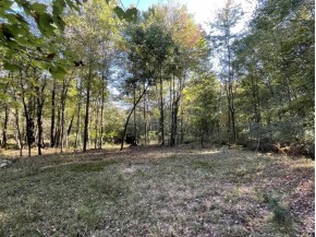 32.32 ACRES Chestnut St