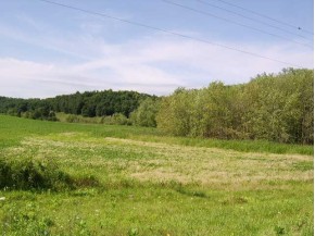 27.8 AC Hwy 19