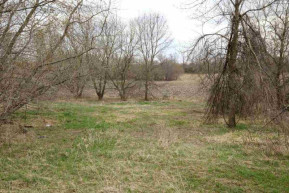 86.2 AC Woodside Ln