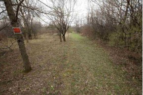 86.2 AC Woodside Ln