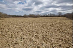 86.2 AC Woodside Ln