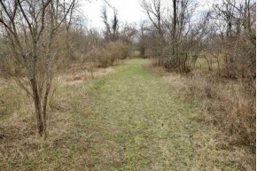 86.2 AC Woodside Ln