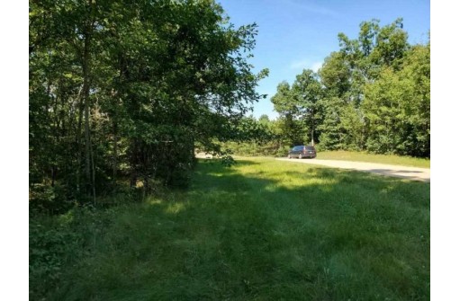 LOT 34 N Timber Bay Ave, Adams, WI 53934-9999