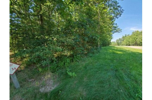 LOT 34 N Timber Bay Ave, Adams, WI 53934-9999