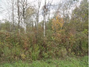 33.6 AC Grosbeak Ave