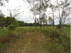 33.6 AC Grosbeak Ave