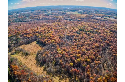 20 AC LOT 2 Berry Rd, Wisconsin Dells, WI 53965