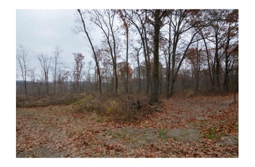 13 ACRES Bluff View Rd, Baraboo, WI 53913