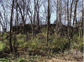 48+/-  ACRES Farmers Ridge Rd