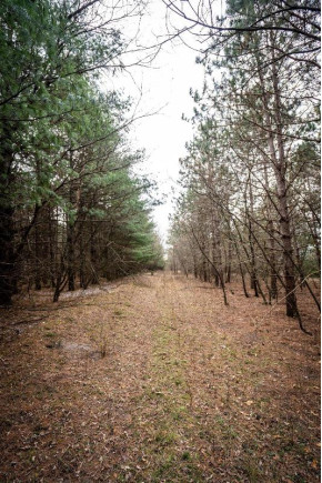 215 +/- ACRES Hilltop Rd