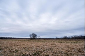 215 +/- ACRES Hilltop Rd