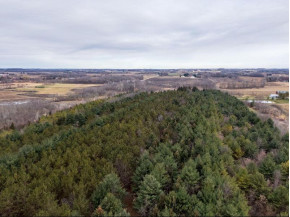 215 +/- ACRES Hilltop Rd