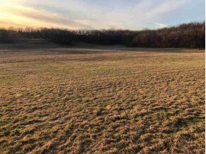 LOT 2 CSM 13044 Forshaug Road