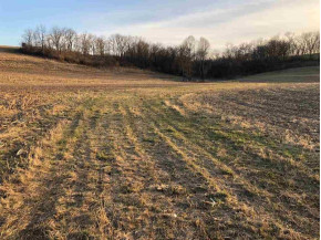 LOT 2 CSM 13044 Forshaug Road