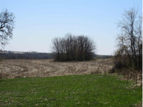 121 +/- ACRES Ironclad Ave