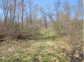 121 +/- ACRES Ironclad Ave