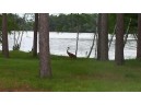 L16 Point Cove Tr, Wisconsin Rapids, WI 54494