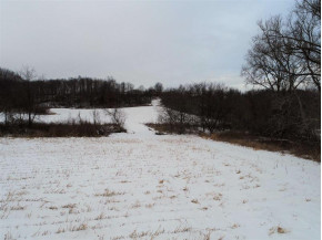 40+/- ACRES Sunrise Ln