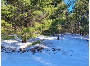 LOT 11 Pine Aire Dr Wisconsin Dells, WI 53965