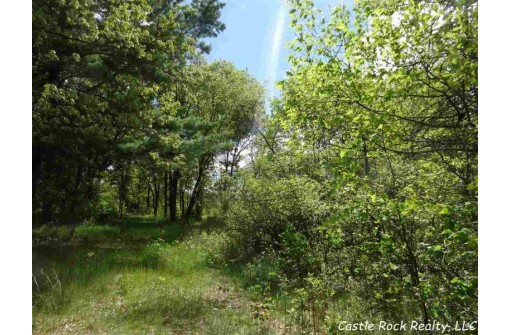 LOT 78 22nd Ave, Necedah, WI 54646