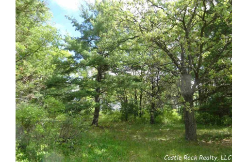 LOT 78 22nd Ave, Necedah, WI 54646