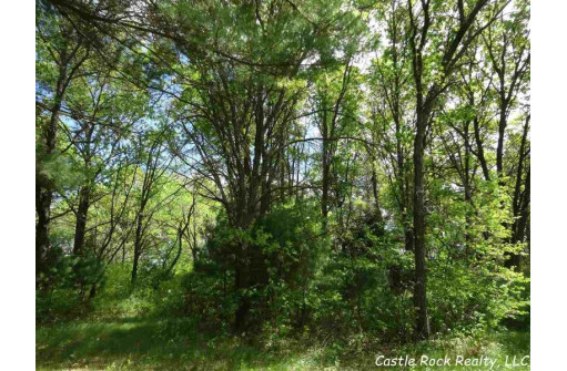 LOT 78 22nd Ave, Necedah, WI 54646