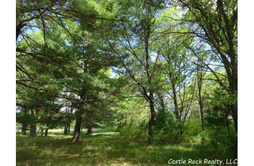 LOT 78 22nd Ave, Necedah, WI 54646