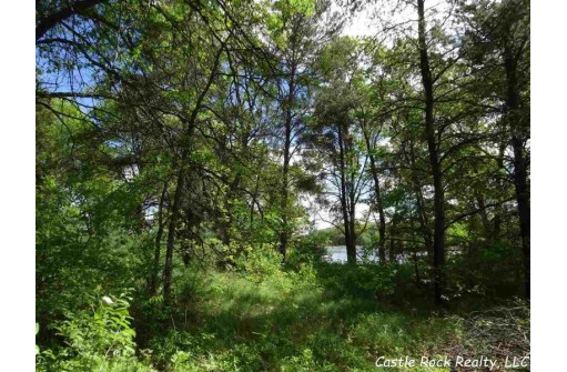 LOT 78 22nd Ave, Necedah, WI 54646