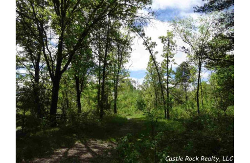 LOT 78 22nd Ave, Necedah, WI 54646