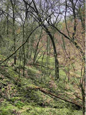 90.44 AC Farber/County Road F
