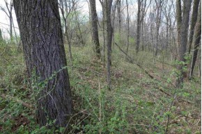 181.10 AC County Rd E