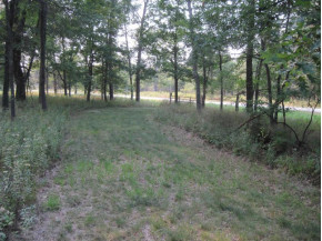 119 ACRES County Road O