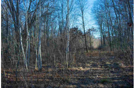 40 AC 12th St W, Necedah, WI 54646