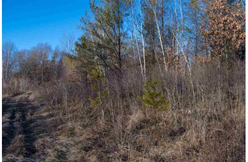 40 AC 12th St W, Necedah, WI 54646