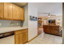 110A Thomas Pl, Arena, WI 53503