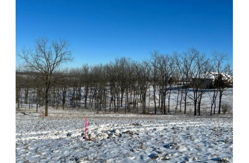 LOT 13 Hwy 39, Blanchardville, WI 53516